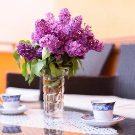 Simicevic Apartment Vodice