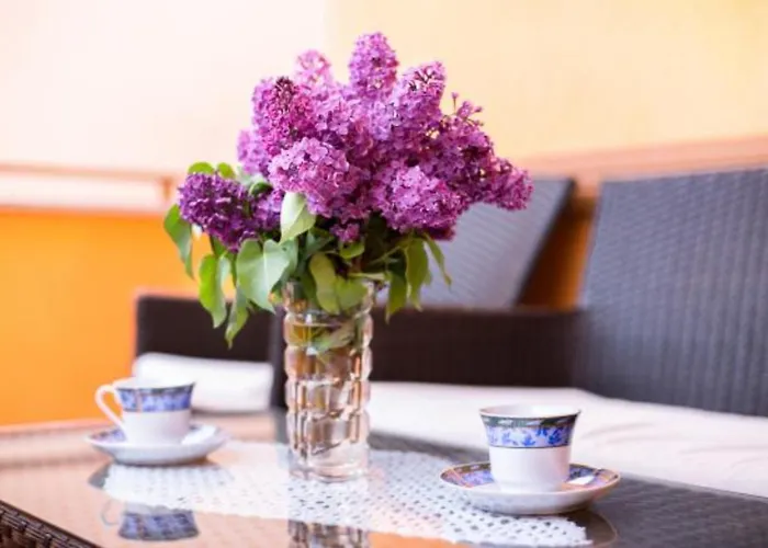 Simicevic Apartman Vodice